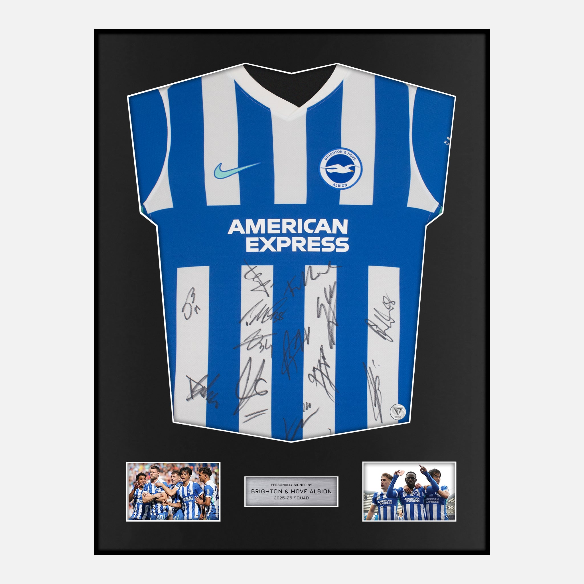Framed Brighton & Hove Albion Signed Shirt | Classic