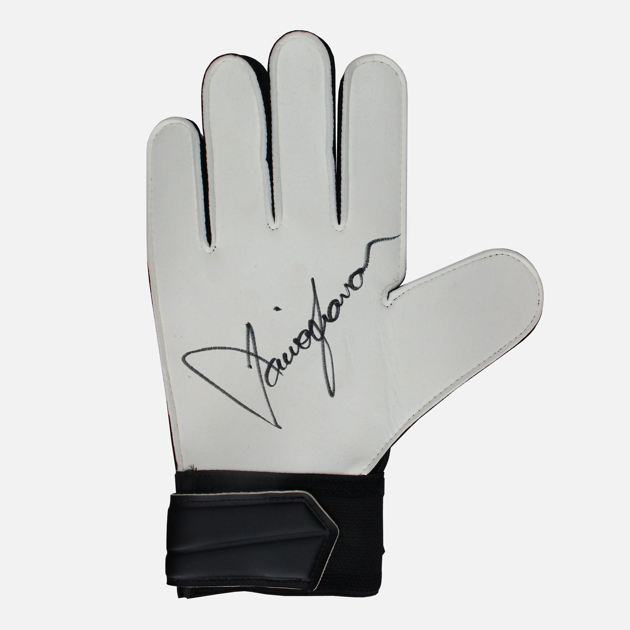 David Seaman Signed Goalkeeper Glove Vault Verified david-seaman-signed-goalkeeper-glove-vault-verified