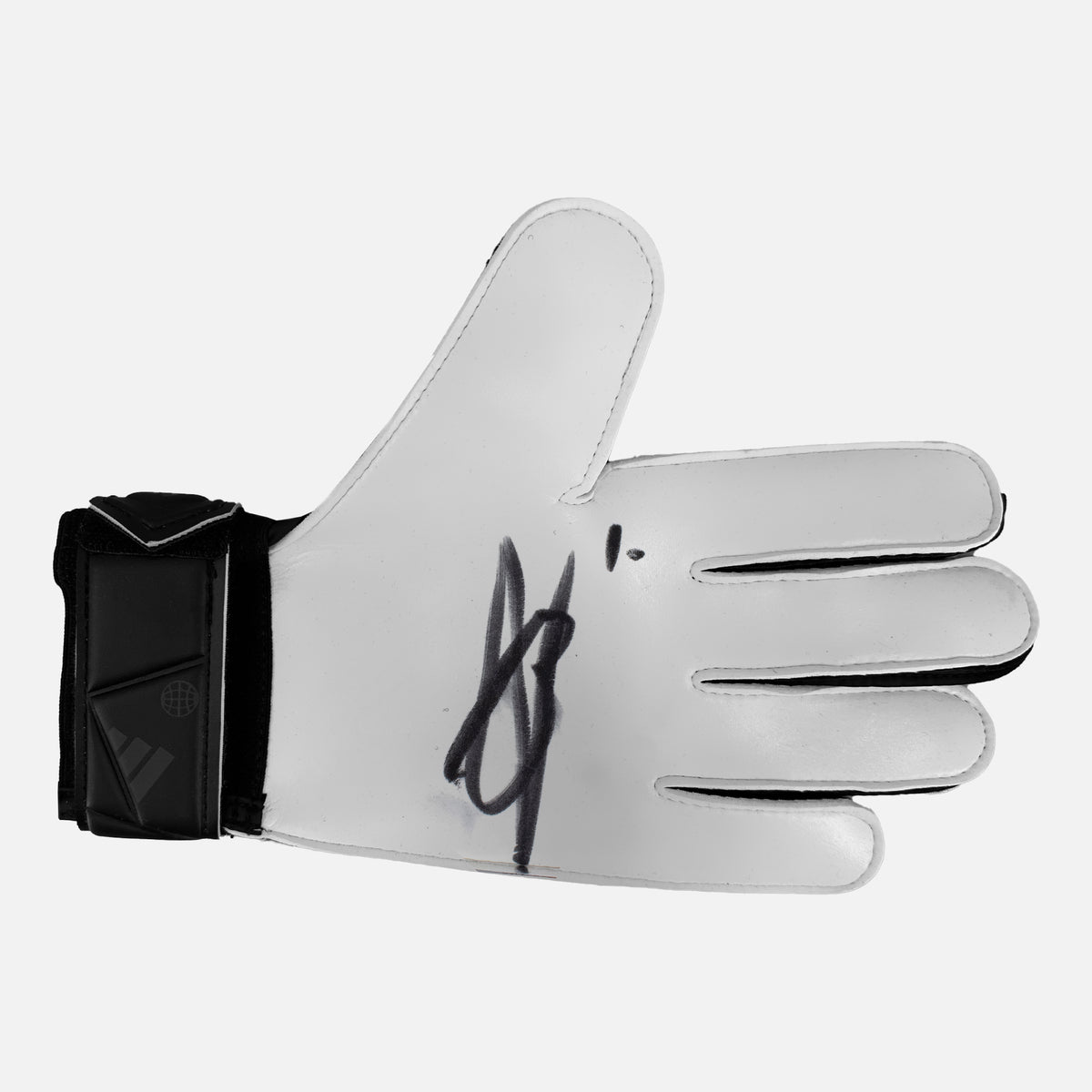 Bart Verbruggen Signed Goalkeepers Glove Brighton [Left] — Signed glove care and display | The Vault