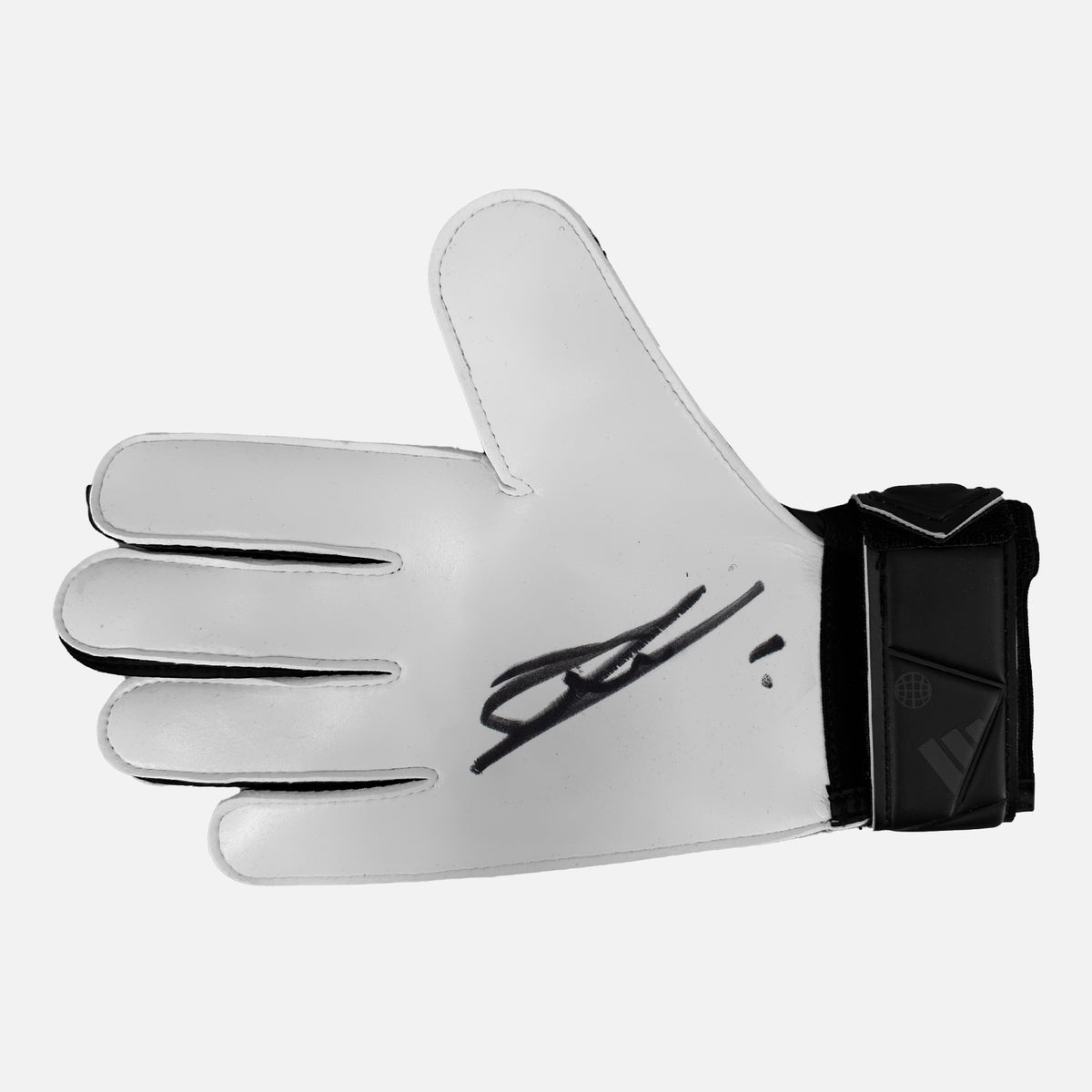 Bart Verbruggen Signed Goalkeepers Glove Brighton [Right] — Signed glove care and display | The Vault