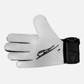 Bart Verbruggen Signed Goalkeepers Glove Brighton [Right]