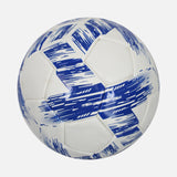 Brighton & Hove Albion Football Blue/White Ball [New]