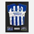 Framed Squad Signed Brighton & Hove Albion Shirt 2023-24 Home [Classic]