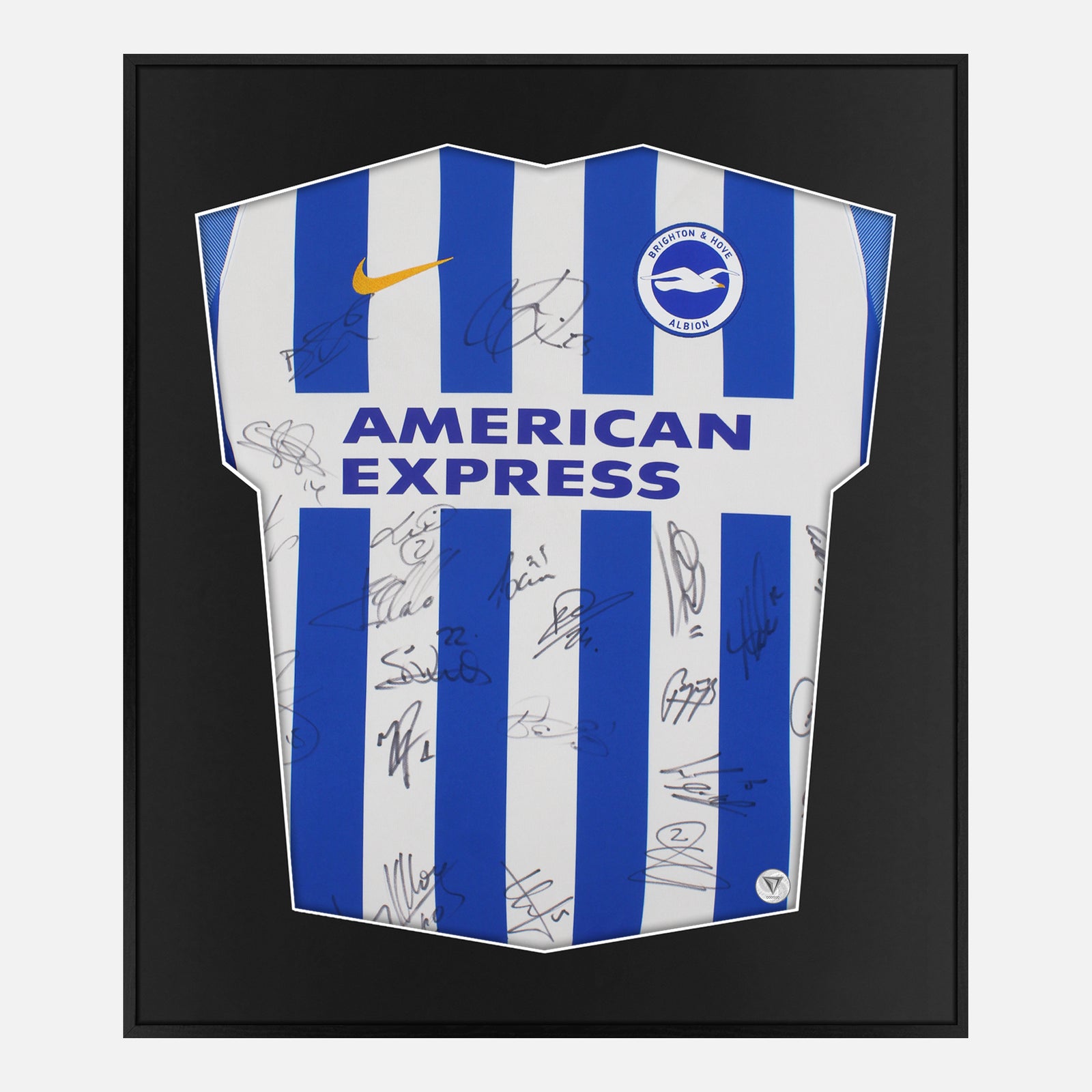 Framed Brighton & Hove Albion Signed Shirt | Lite