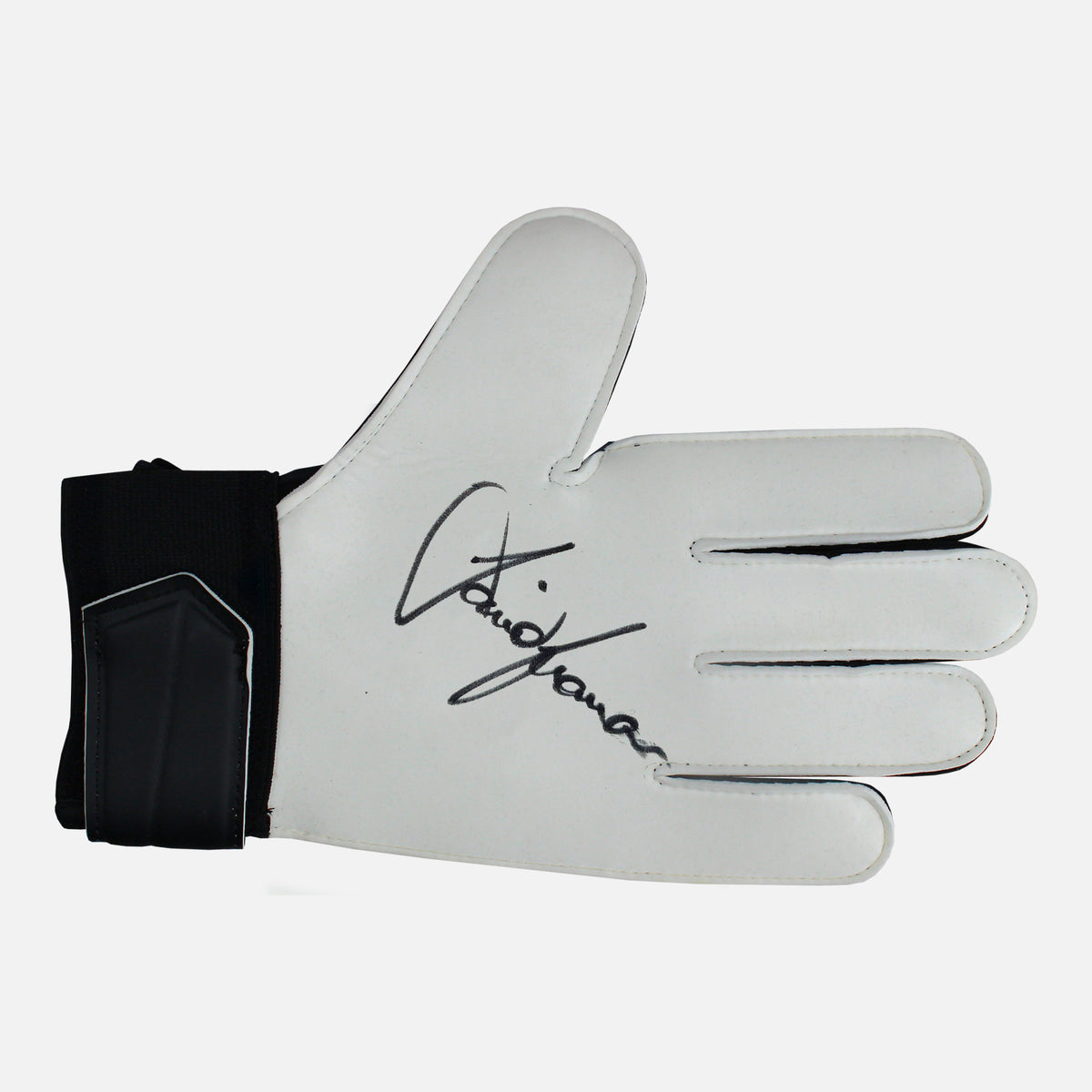David Seaman Signed Goalkeepers Glove Arsenal [Left] — Signed glove care and display | The Vault