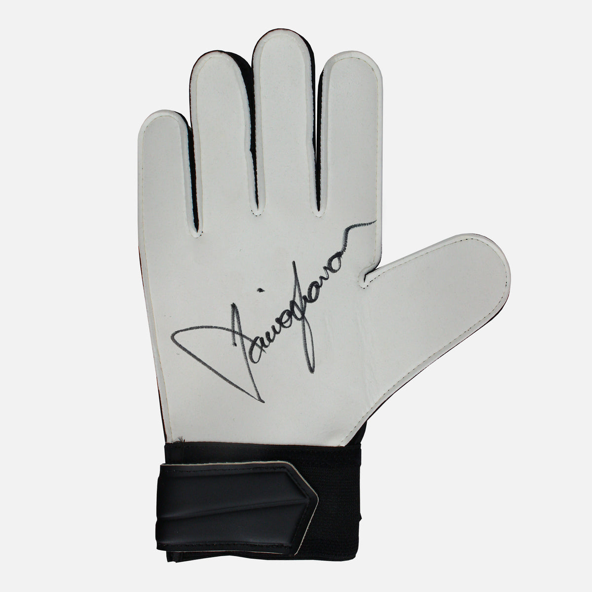 David Seaman Signed Goalkeepers Glove Arsenal [Right] — Signed glove care and display | The Vault