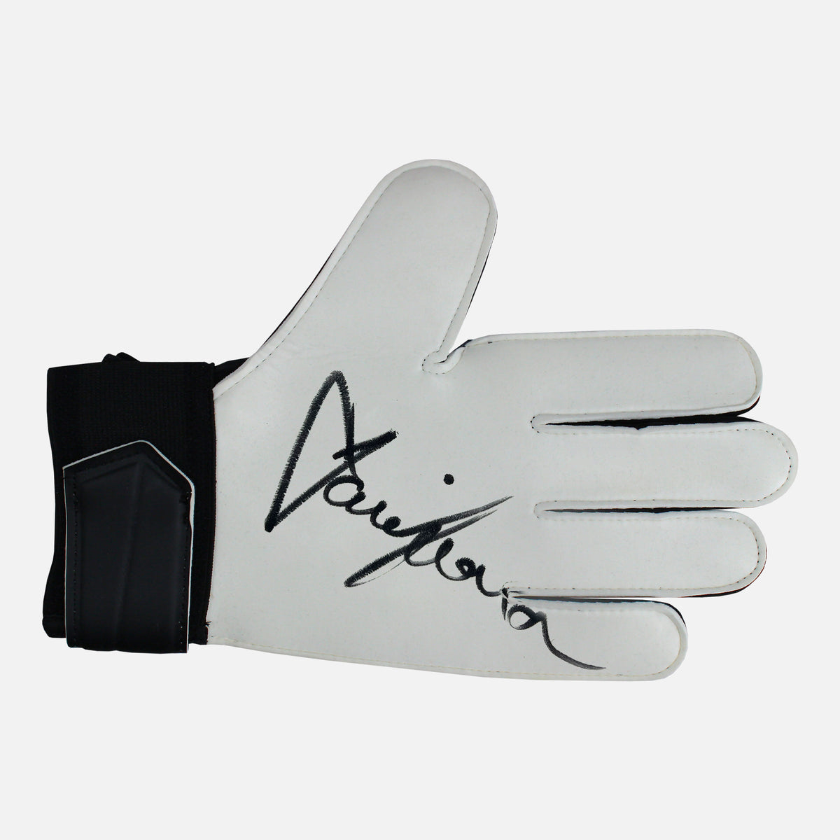 David Seaman Signed Goalkeepers Glove England [Left] — Signed glove care and display | The Vault