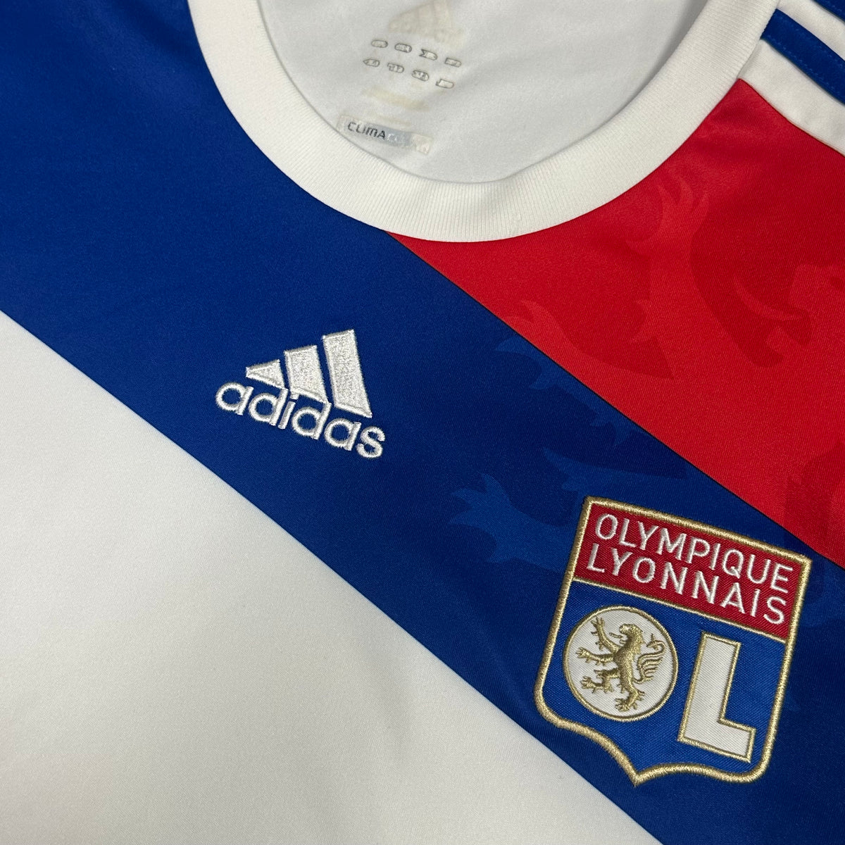 2012-13 Olympique Lyonnais Home Shirt [Excellent] L — Looking after your Lyon Home jersey | The Vault