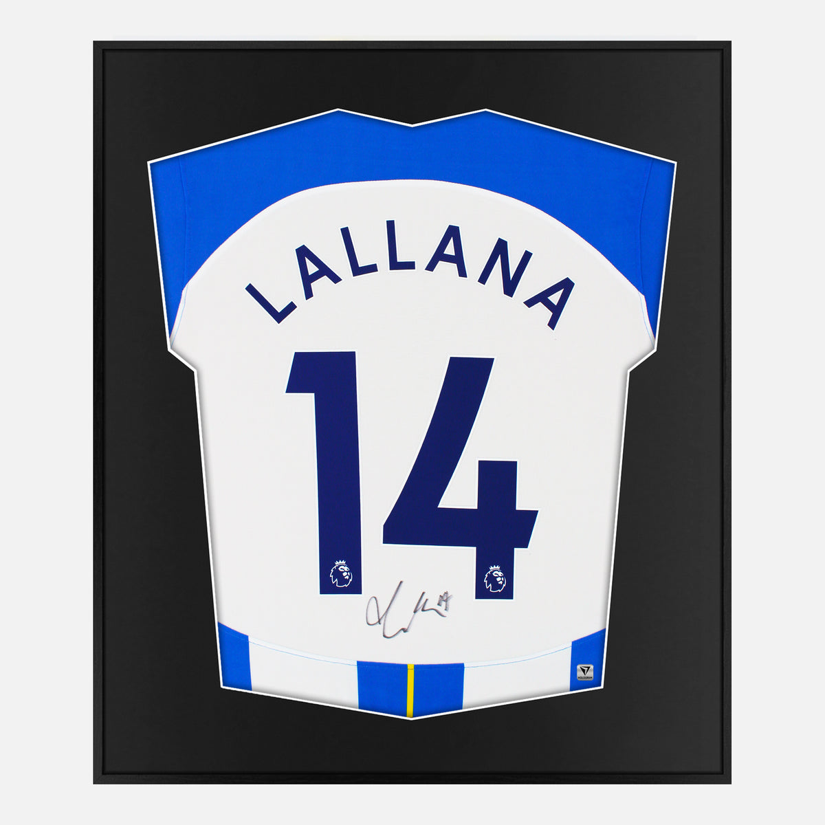 Framed Lallana Signed Brighton & Hove Albion Shirt, Home [Lite] — Authentic signature with NFC and COA | The Vault