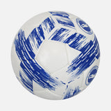 Brighton & Hove Albion Football Blue/White Ball [New]