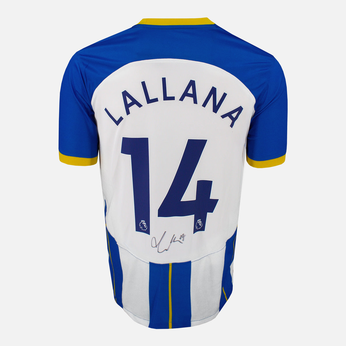 Adam Lallana Signed Brighton & Hove Albion Shirt Home 2022-23 [14] — Brighton & Hove Albion signed shirt from the 2022 to 2023 season | The Vault