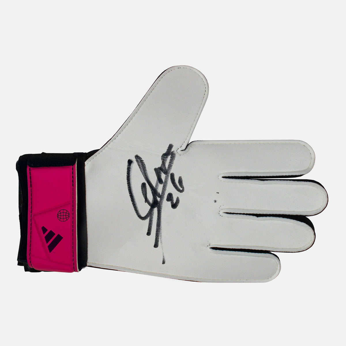 Matz Sels Signed Goalkeepers Glove Nottingham Forest [Left] — Signed glove care and display | The Vault