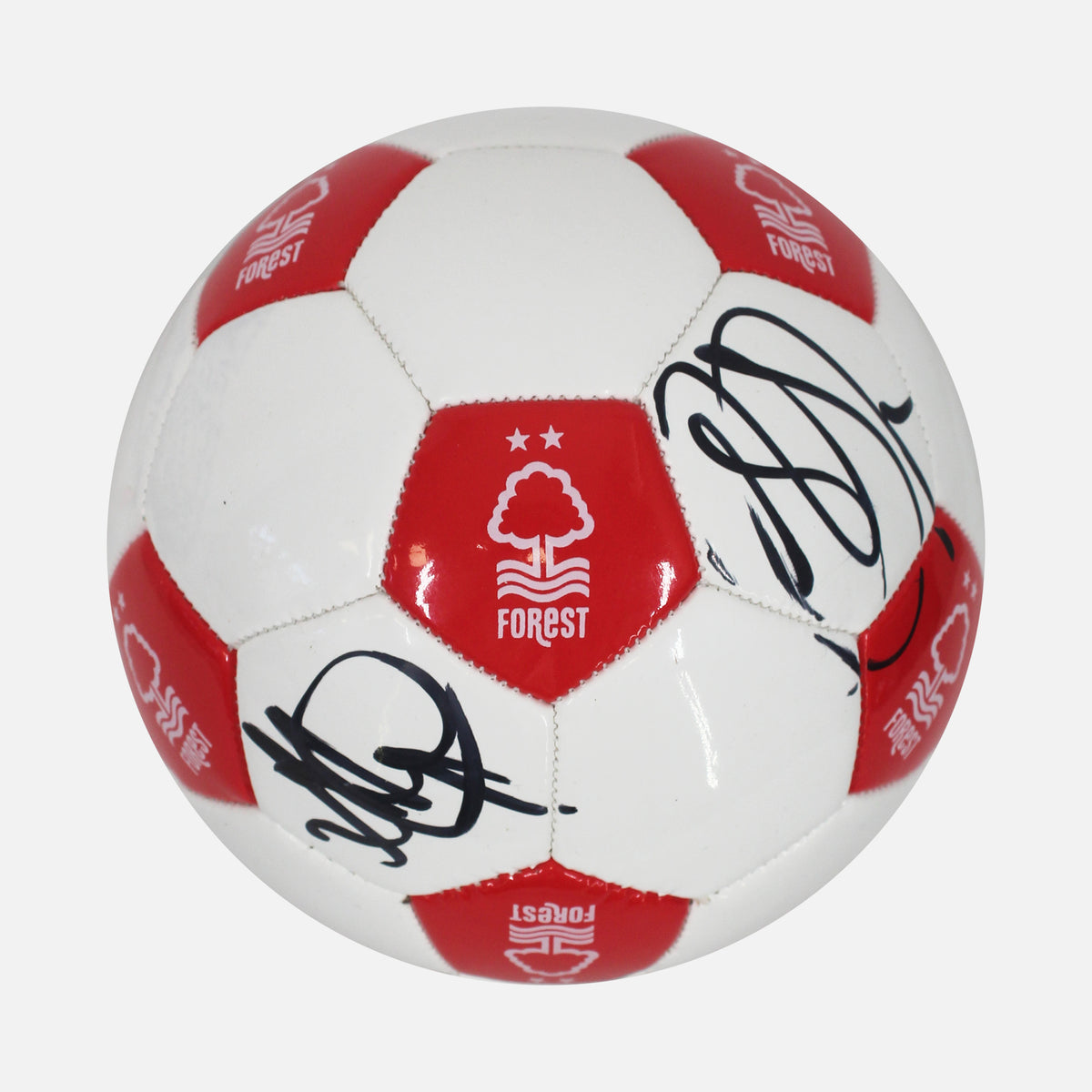 Sean Dyche & Steve Stone Signed Nottingham Forest [Size 1] — Preserve your signed Nottingham Forest football ball | The Vault