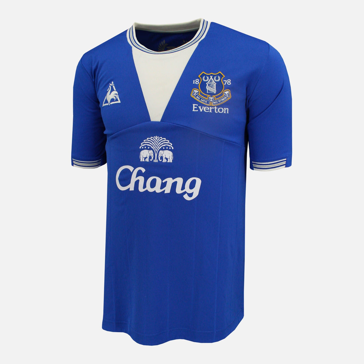 2009-10 Everton Home Shirt [Perfect] L — Verified official Everton shirt, condition graded | The Vault