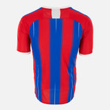 Back 19/20 Crystal Palace Puma Home shirt retro football jersey